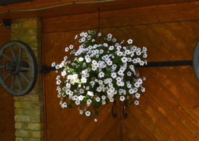 Krodziņš Eglieni — DSC_2654